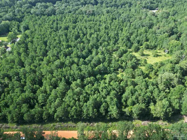 $155,000 | 0 Janes Mill Road, Brewton, AL 36426