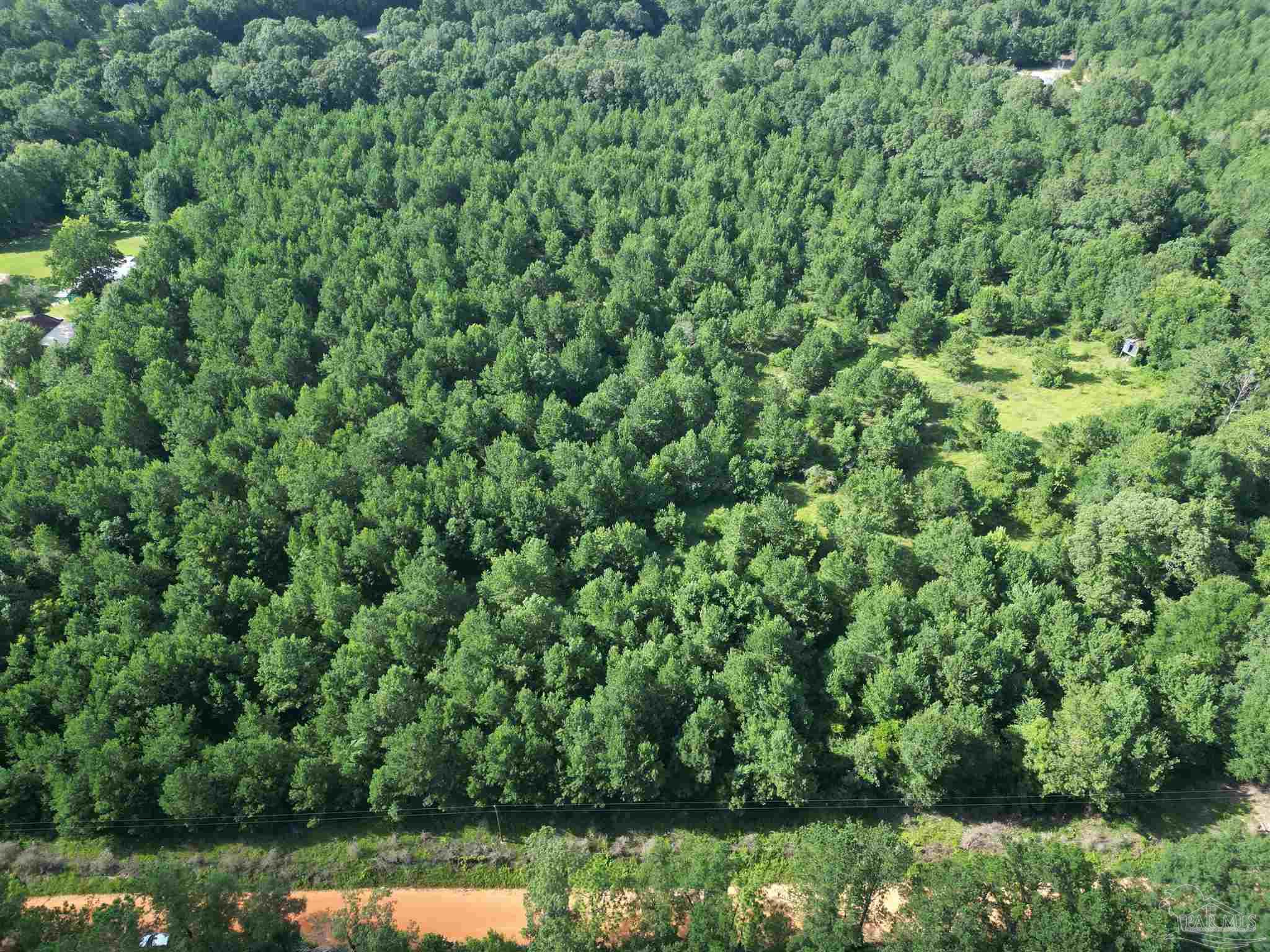 0 Janes Mill Road Brewton, AL 36426 - Photo 5 of 17