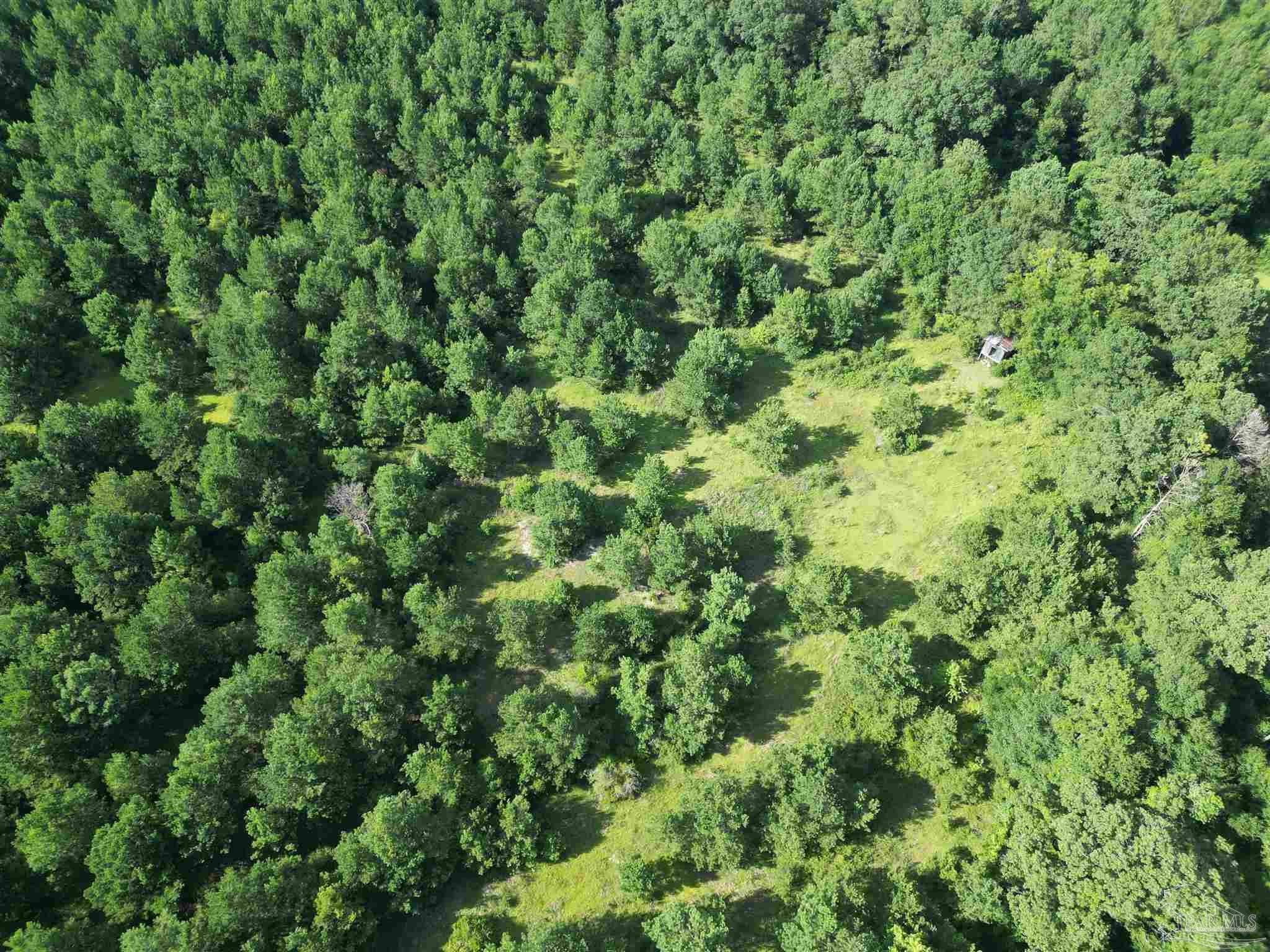 0 Janes Mill Road Brewton, AL 36426 - Photo 6 of 17