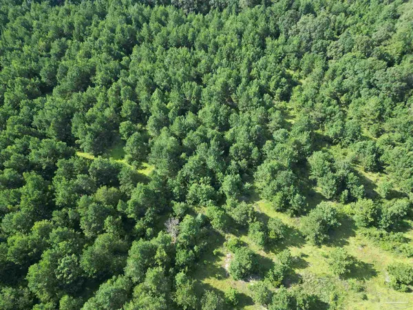 $155,000 | 0 Janes Mill Road, Brewton, AL 36426