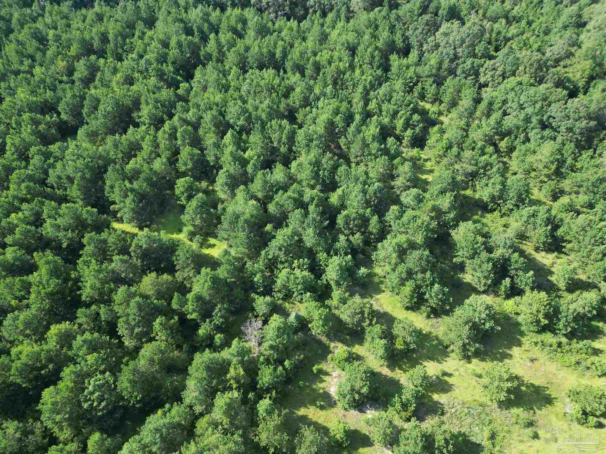 0 Janes Mill Road Brewton, AL 36426 - Photo 7 of 17