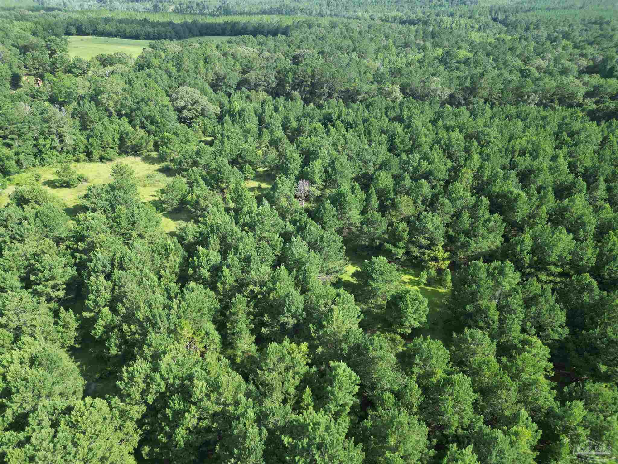 0 Janes Mill Road Brewton, AL 36426 - Photo 8 of 17