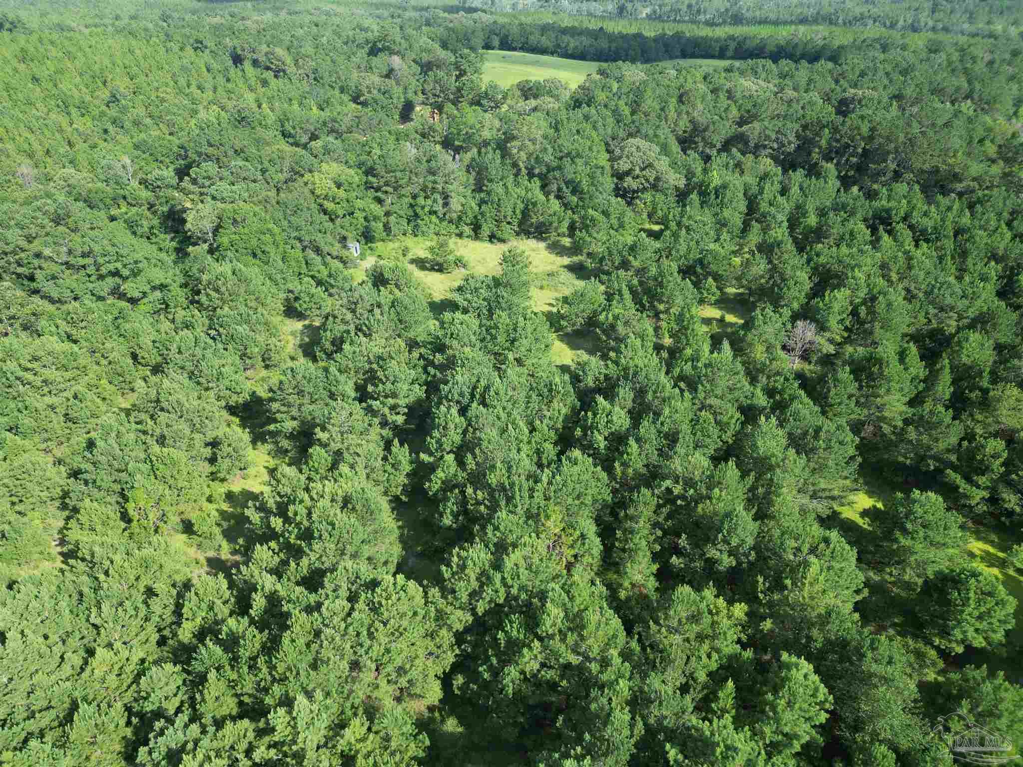 0 Janes Mill Road Brewton, AL 36426 - Photo 9 of 17