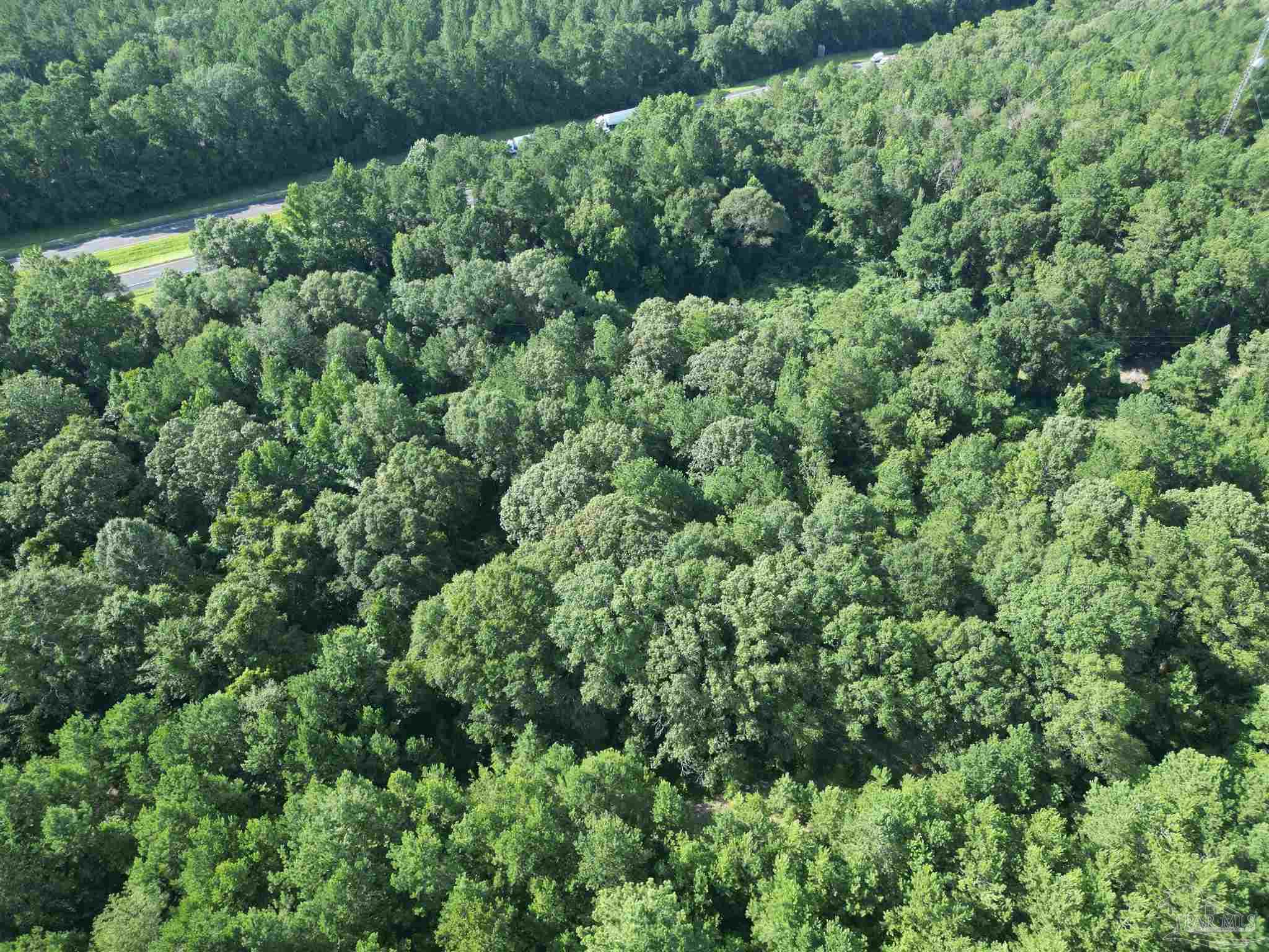 0 Janes Mill Road Brewton, AL 36426 - Photo 10 of 17