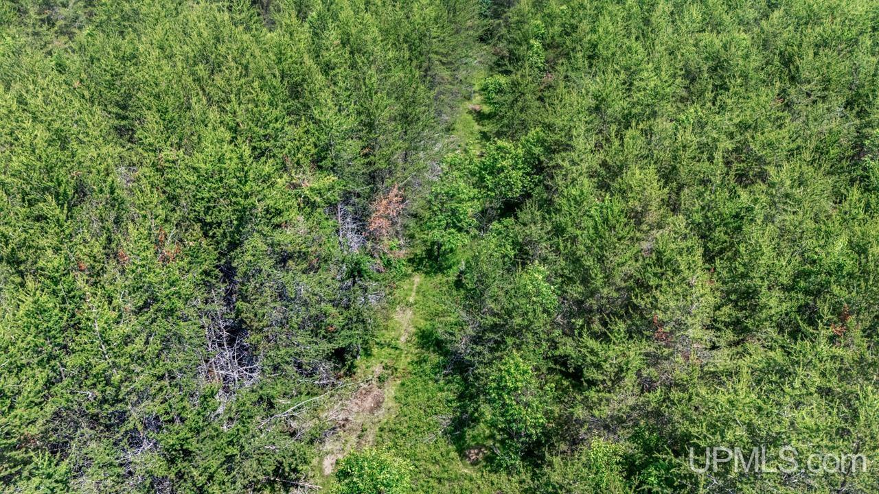 Tbd Bryan Creek Road Ishpeming, MI 49849 - Photo 12 of 16