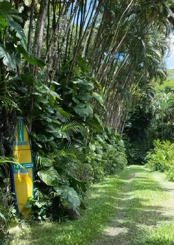 $1,589,000 | 143 Alalele Place, Hana, HI 96713