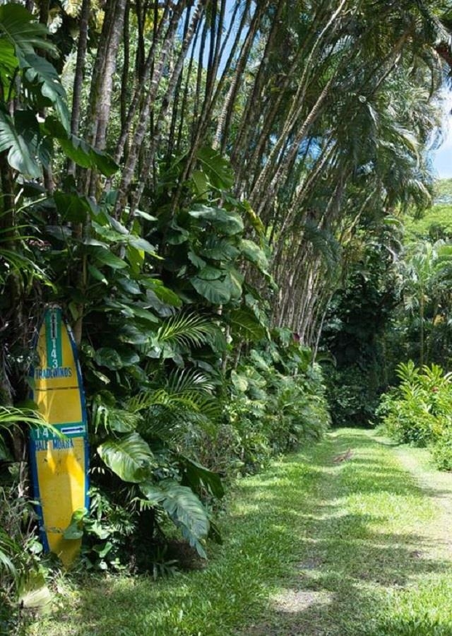 143 Alalele Place Hana, HI 96713 - Photo 50 of 50 a bird view of building