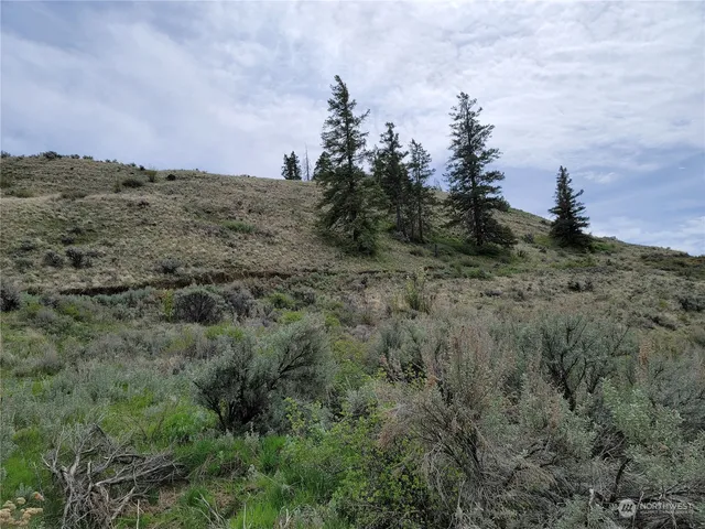 $43,000 | 98 Tyee View Loop Road, Waterville, WA 98858