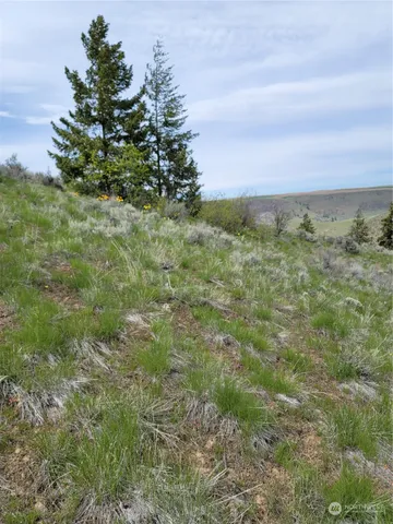 $43,000 | 98 Tyee View Loop Road, Waterville, WA 98858