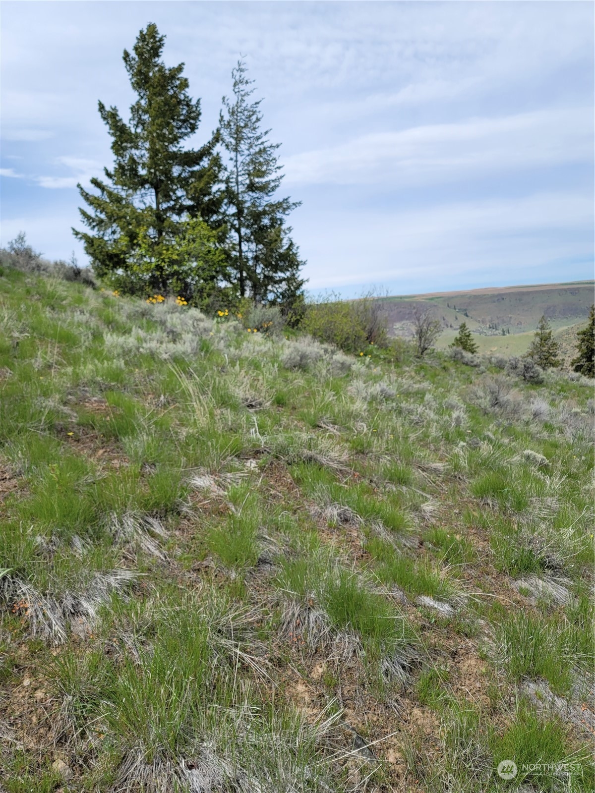 98 Tyee View Loop Road Waterville, WA 98858 - Photo 12 of 19