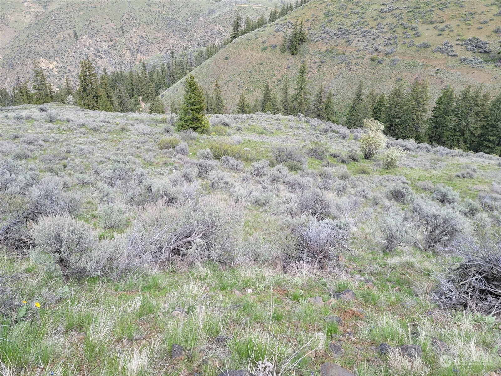 98 Tyee View Loop Road Waterville, WA 98858 - Photo 13 of 19