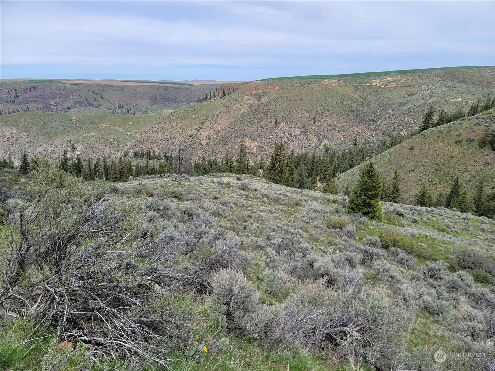 98 Tyee View Loop Road Waterville, WA 98858 - Photo 14 of 19