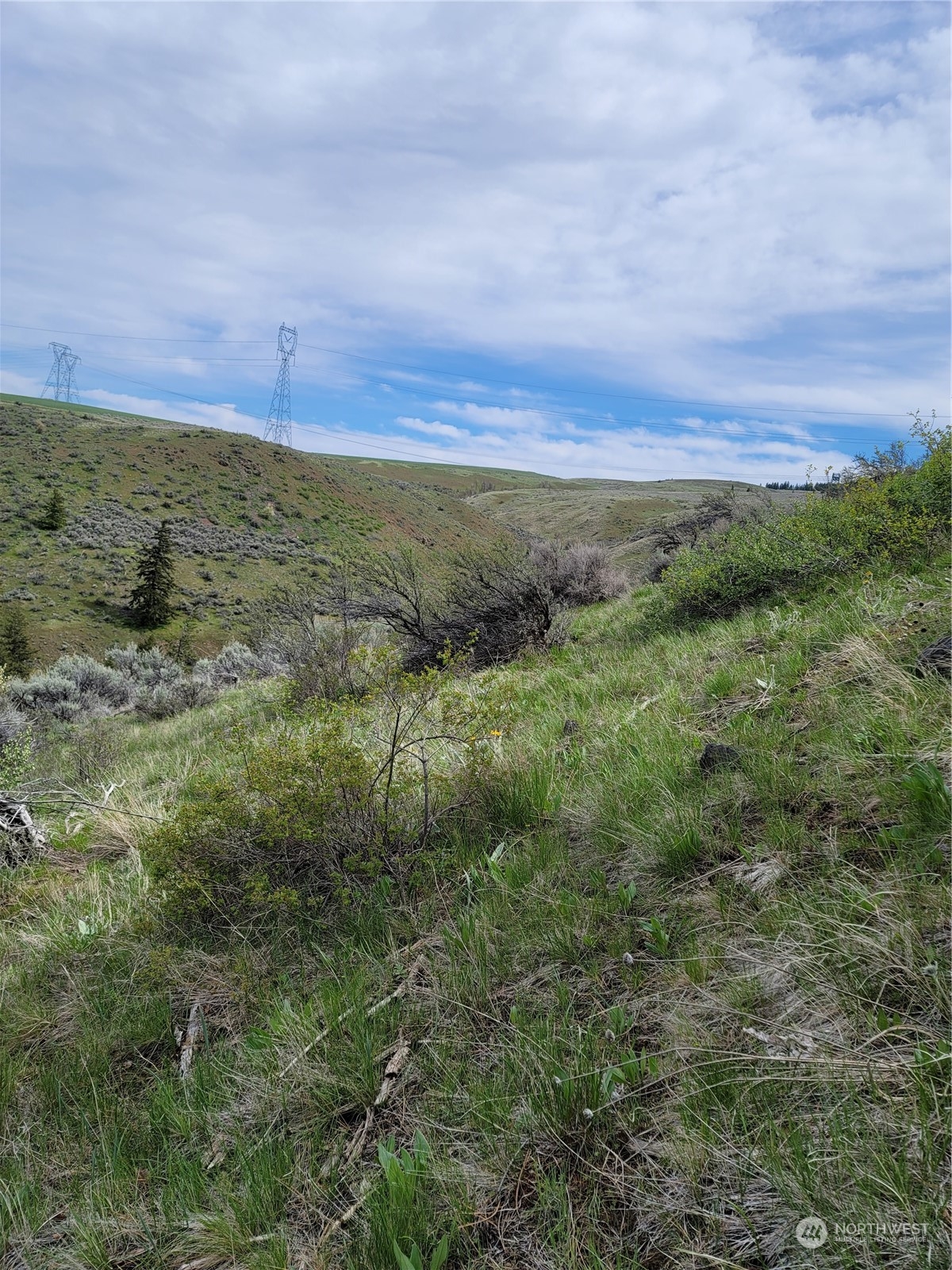 98 Tyee View Loop Road Waterville, WA 98858 - Photo 15 of 19