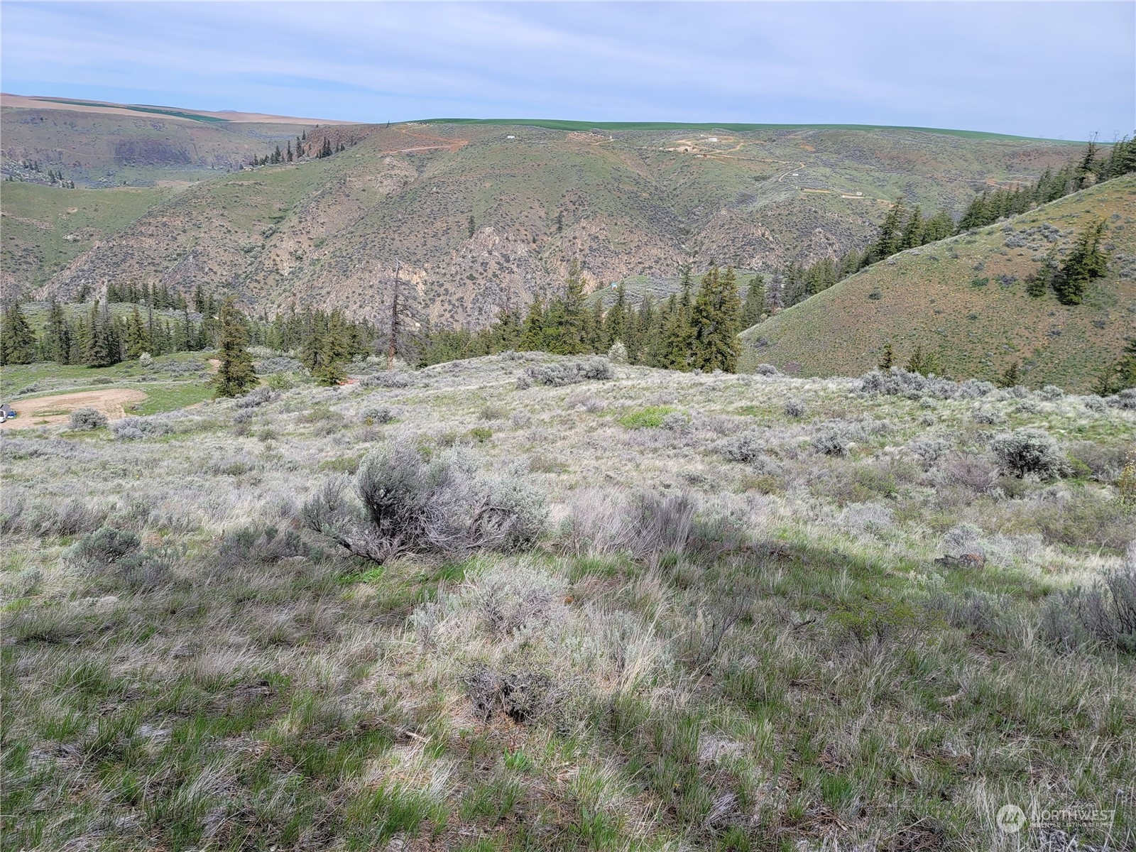 98 Tyee View Loop Road Waterville, WA 98858 - Photo 16 of 19