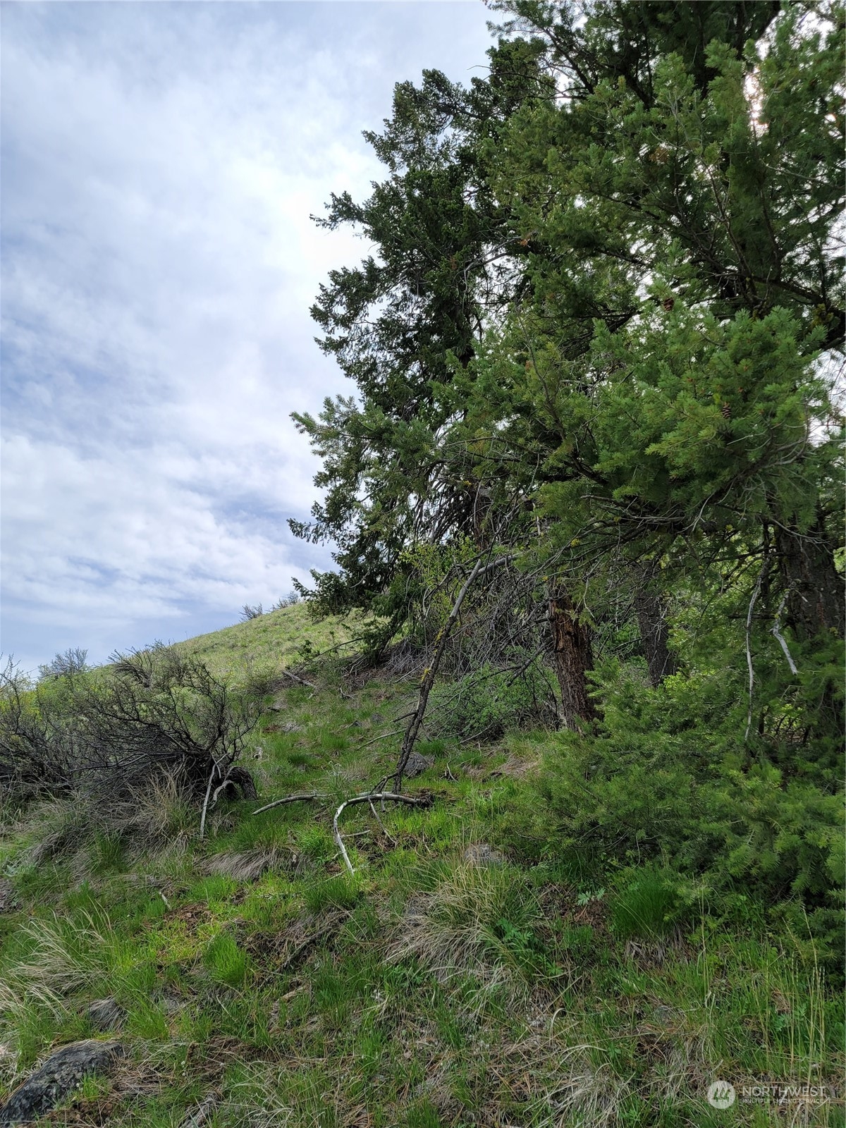 98 Tyee View Loop Road Waterville, WA 98858 - Photo 17 of 19