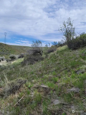 $43,000 | 98 Tyee View Loop Road, Waterville, WA 98858