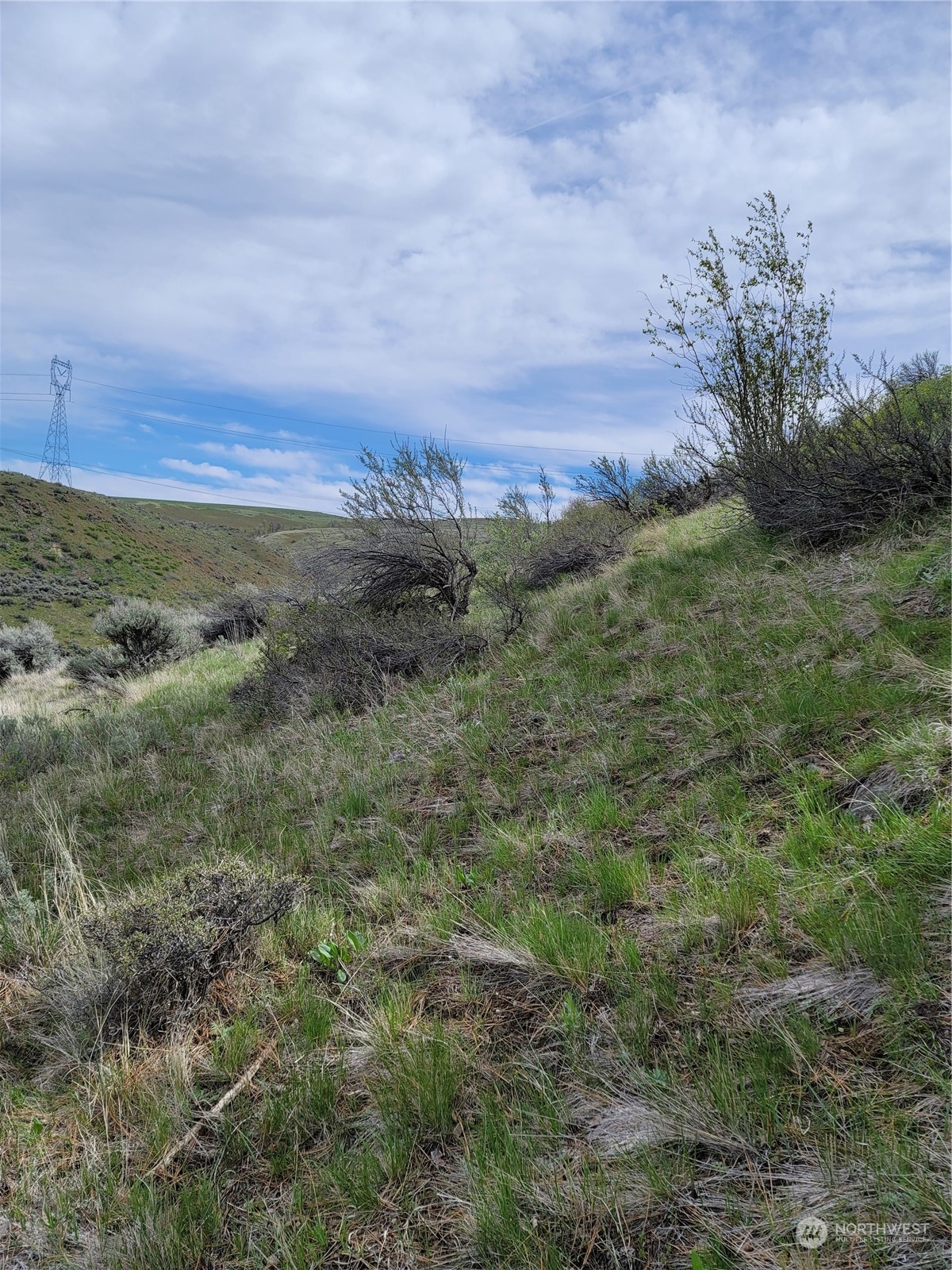 98 Tyee View Loop Road Waterville, WA 98858 - Photo 18 of 19