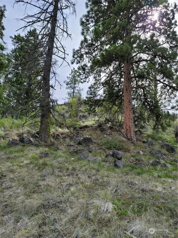 $43,000 | 98 Tyee View Loop Road, Waterville, WA 98858