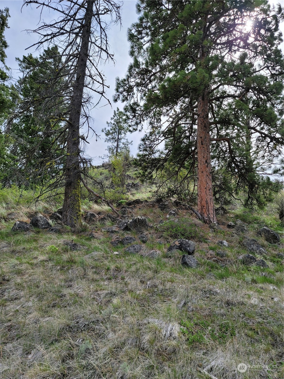 98 Tyee View Loop Road Waterville, WA 98858 - Photo 19 of 19