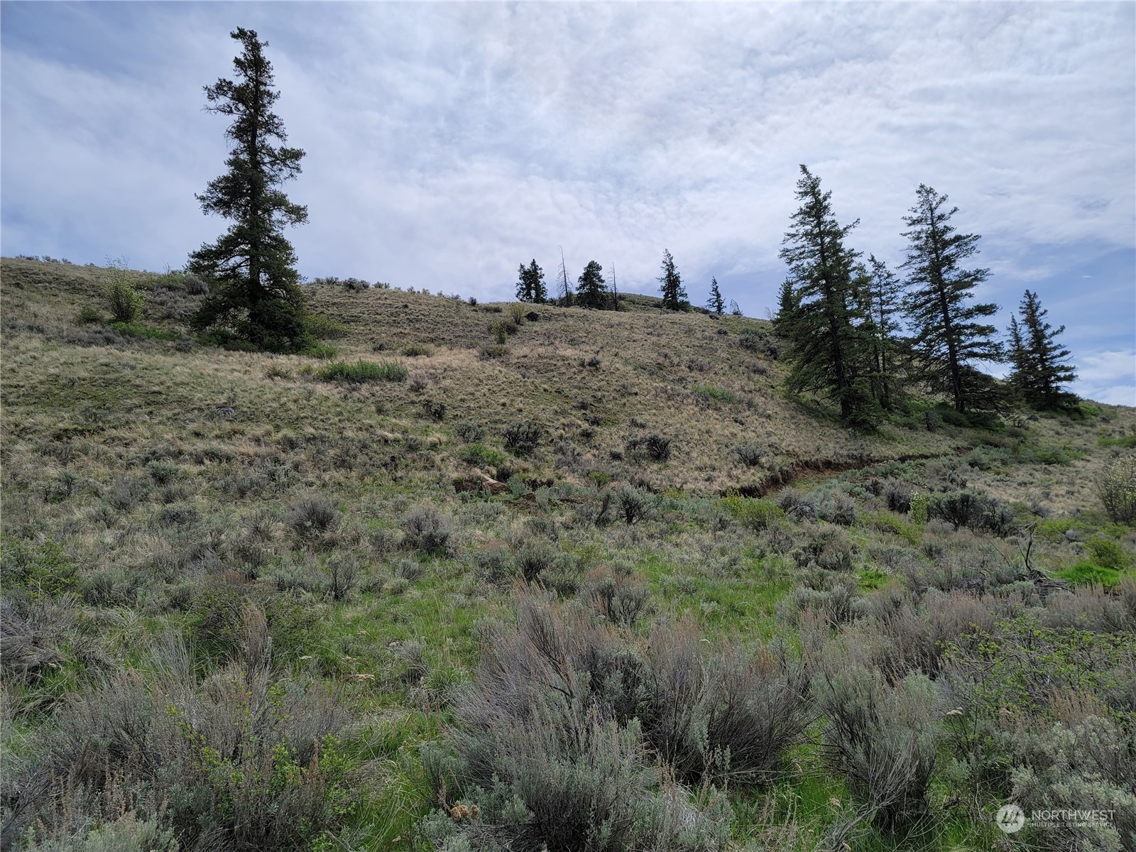 98 Tyee View Loop Road Waterville, WA 98858 - Photo 2 of 19