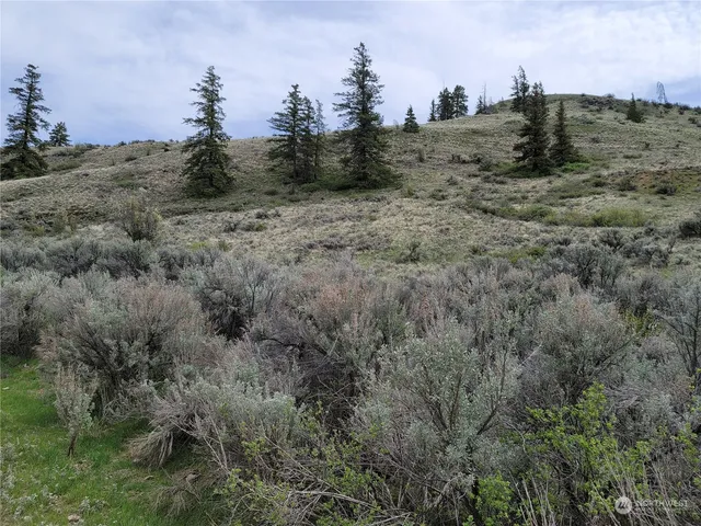 $43,000 | 98 Tyee View Loop Road, Waterville, WA 98858