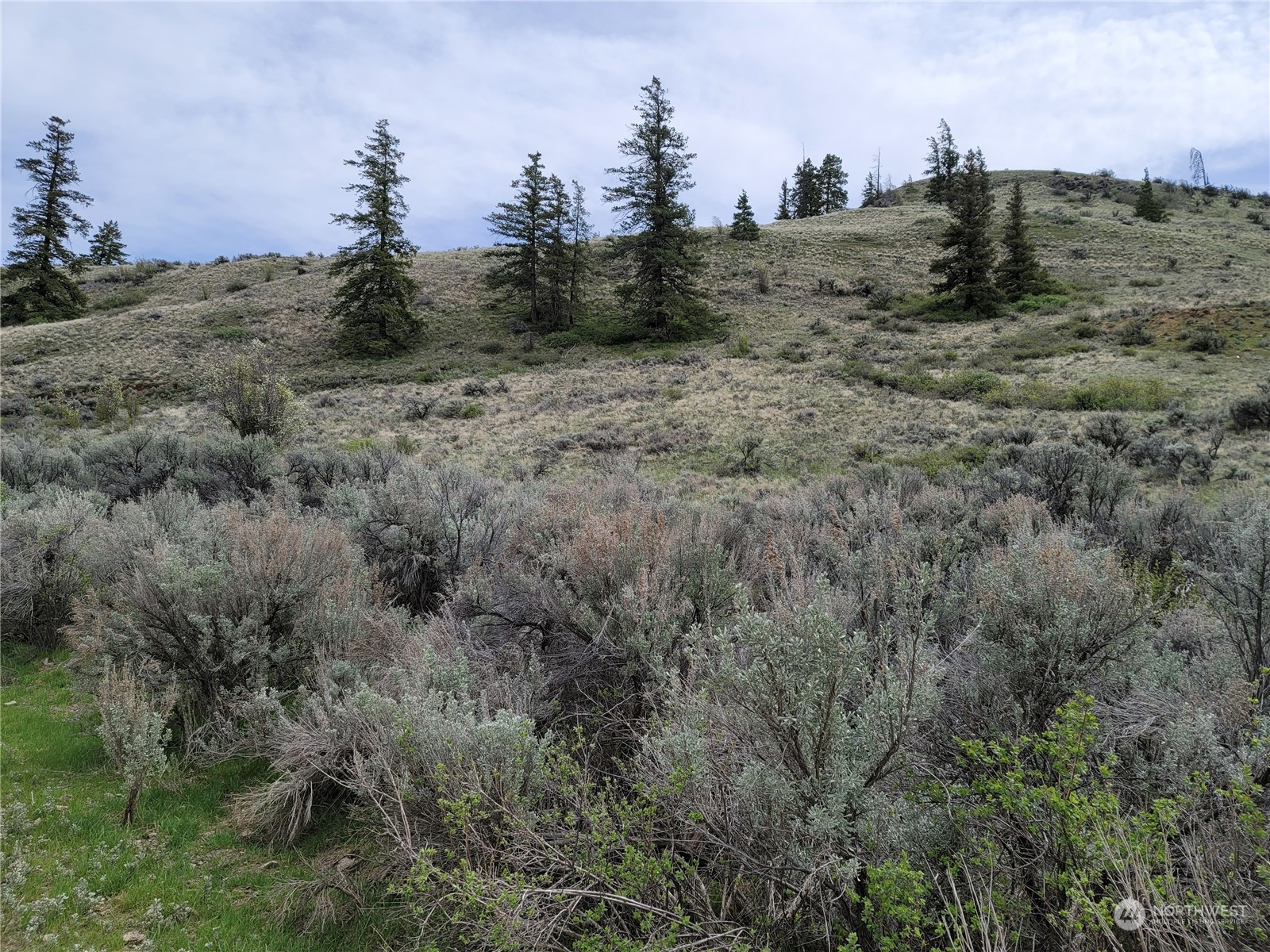 98 Tyee View Loop Road Waterville, WA 98858 - Photo 3 of 19