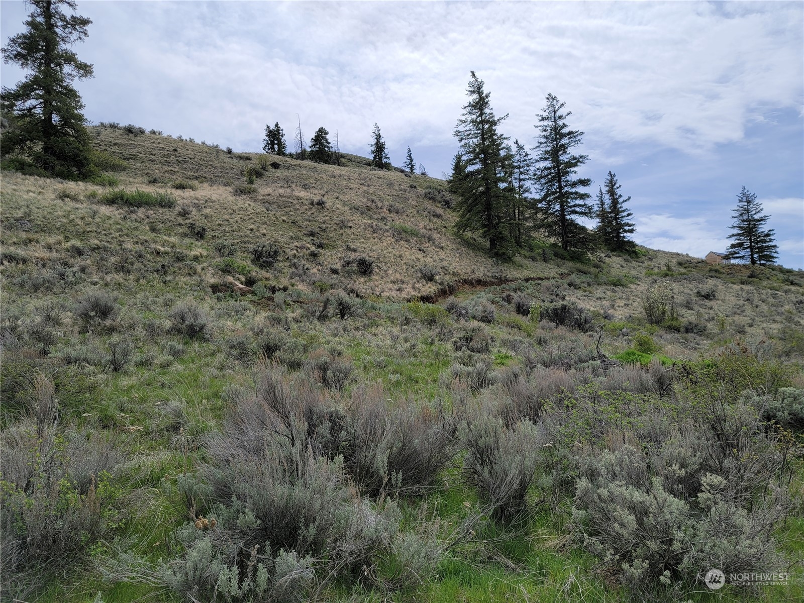 98 Tyee View Loop Road Waterville, WA 98858 - Photo 4 of 19