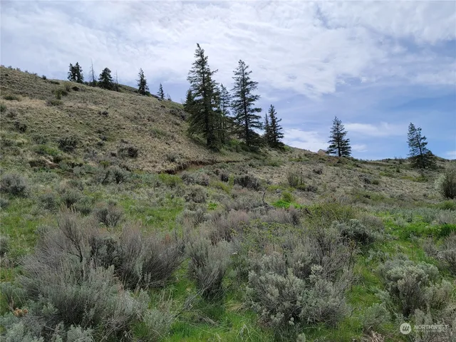 $43,000 | 98 Tyee View Loop Road, Waterville, WA 98858