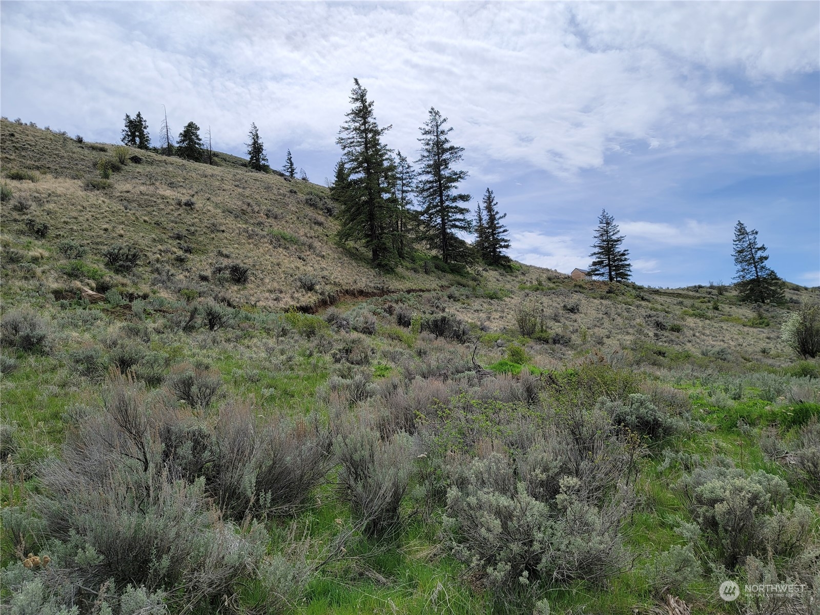 98 Tyee View Loop Road Waterville, WA 98858 - Photo 5 of 19