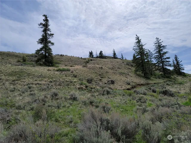 $43,000 | 98 Tyee View Loop Road, Waterville, WA 98858