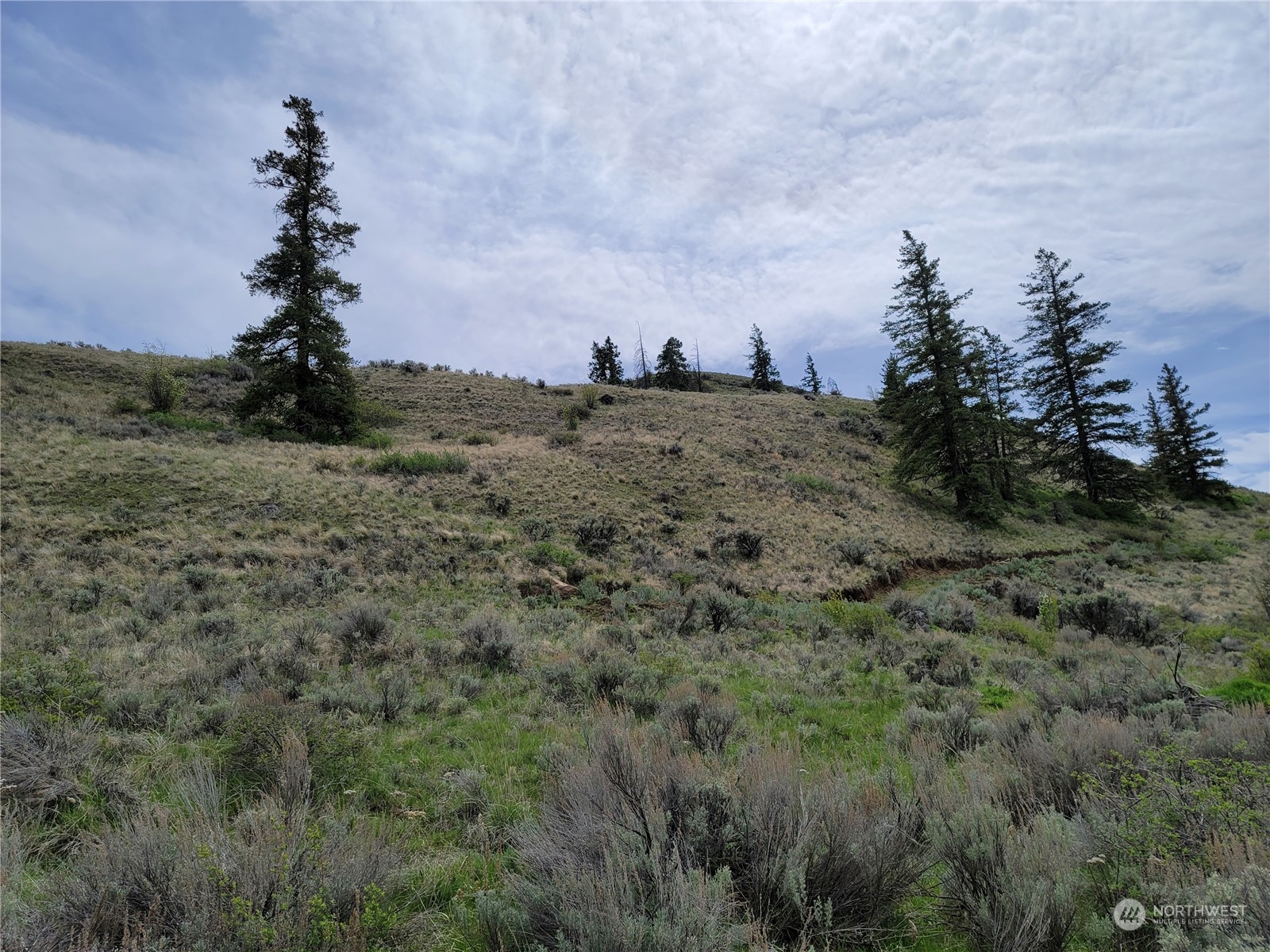 98 Tyee View Loop Road Waterville, WA 98858 - Photo 6 of 19