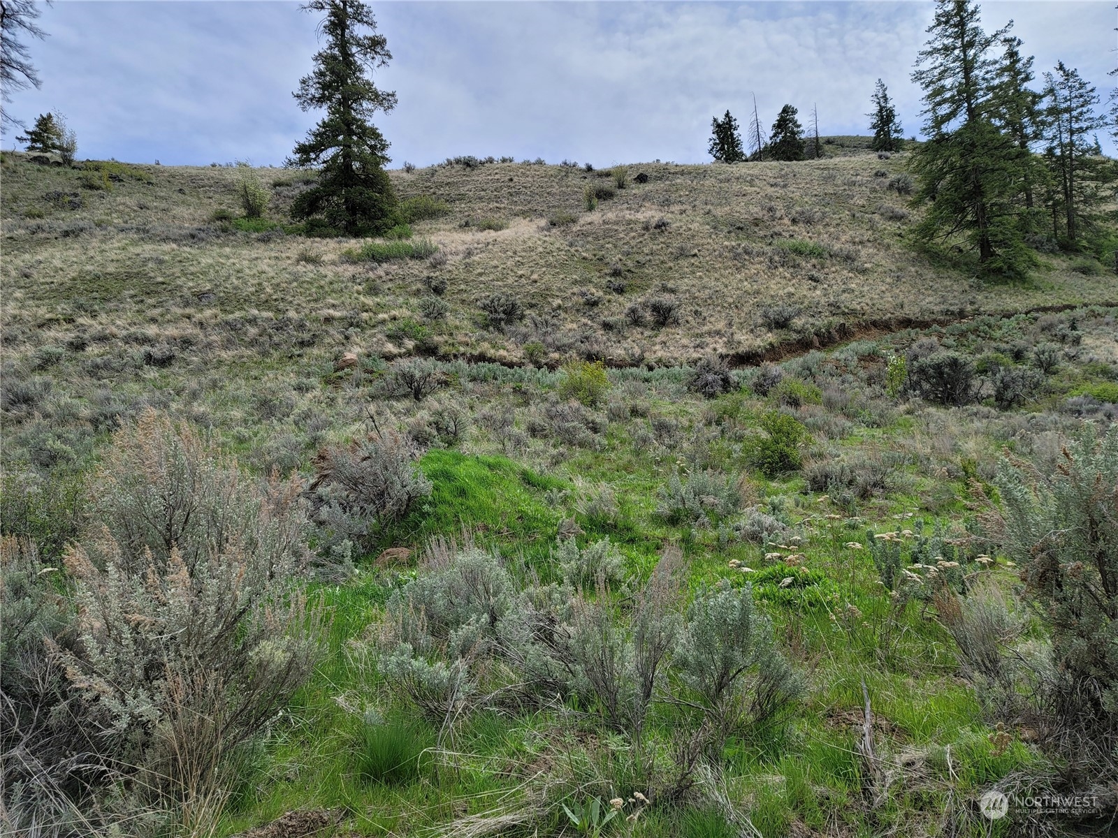 98 Tyee View Loop Road Waterville, WA 98858 - Photo 7 of 19