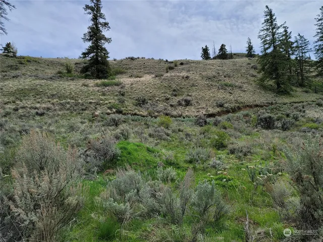 $43,000 | 98 Tyee View Loop Road, Waterville, WA 98858