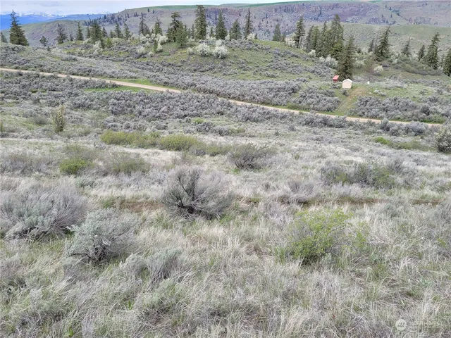 $43,000 | 98 Tyee View Loop Road, Waterville, WA 98858