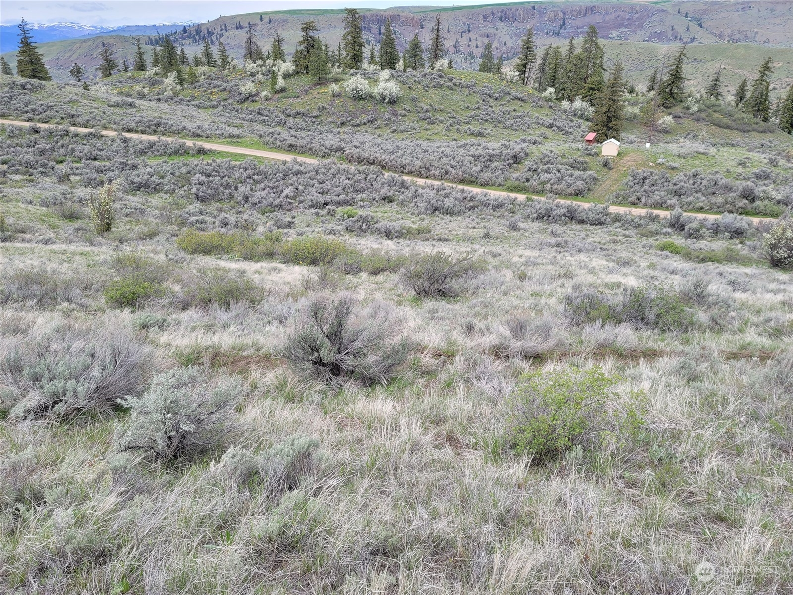 98 Tyee View Loop Road Waterville, WA 98858 - Photo 9 of 19