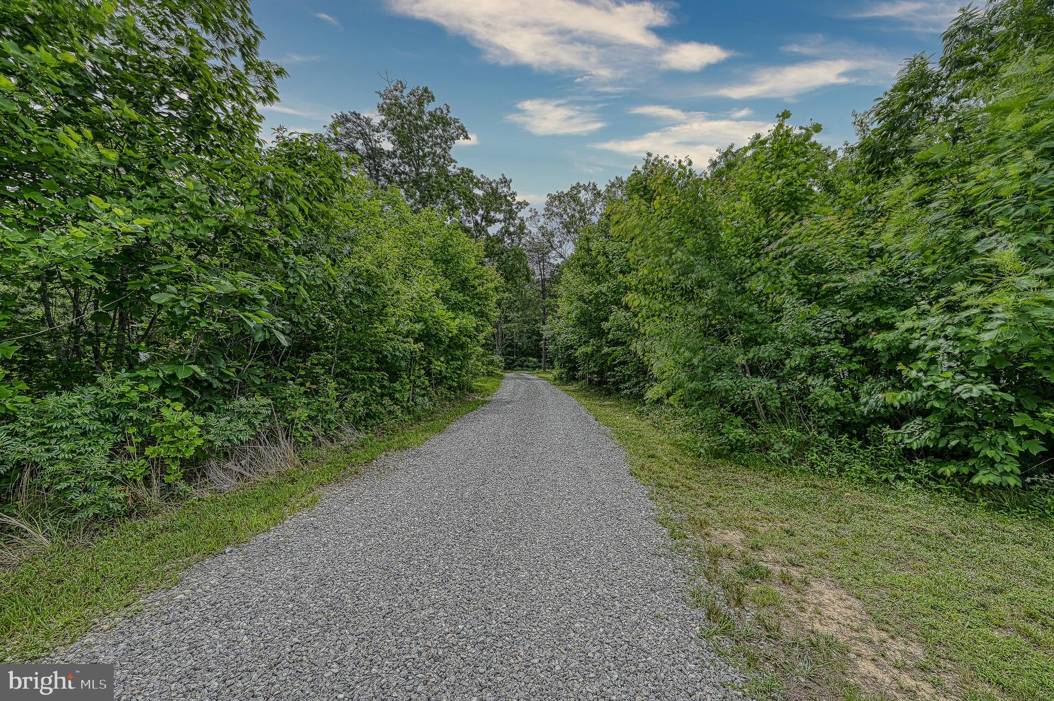 290 White Walnut Road Louisa, VA 23093 - Photo 54 of 54 Gallery Image 54