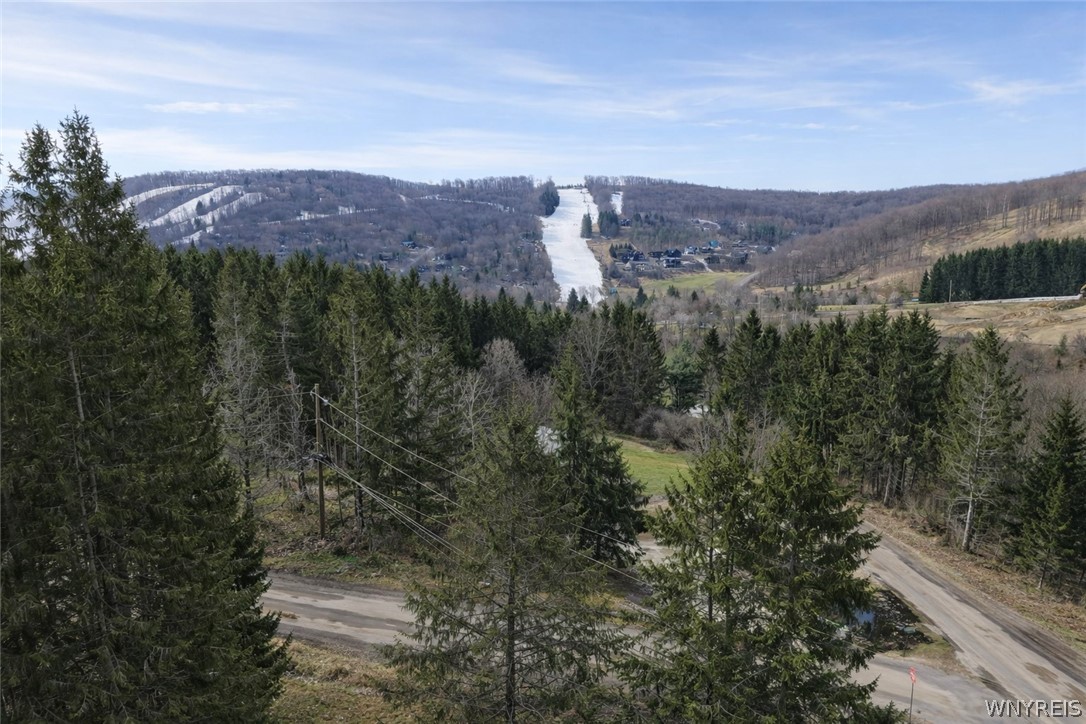 6448 Plum Creek Road Mansfield, NY 14731 - Photo 38 of 41