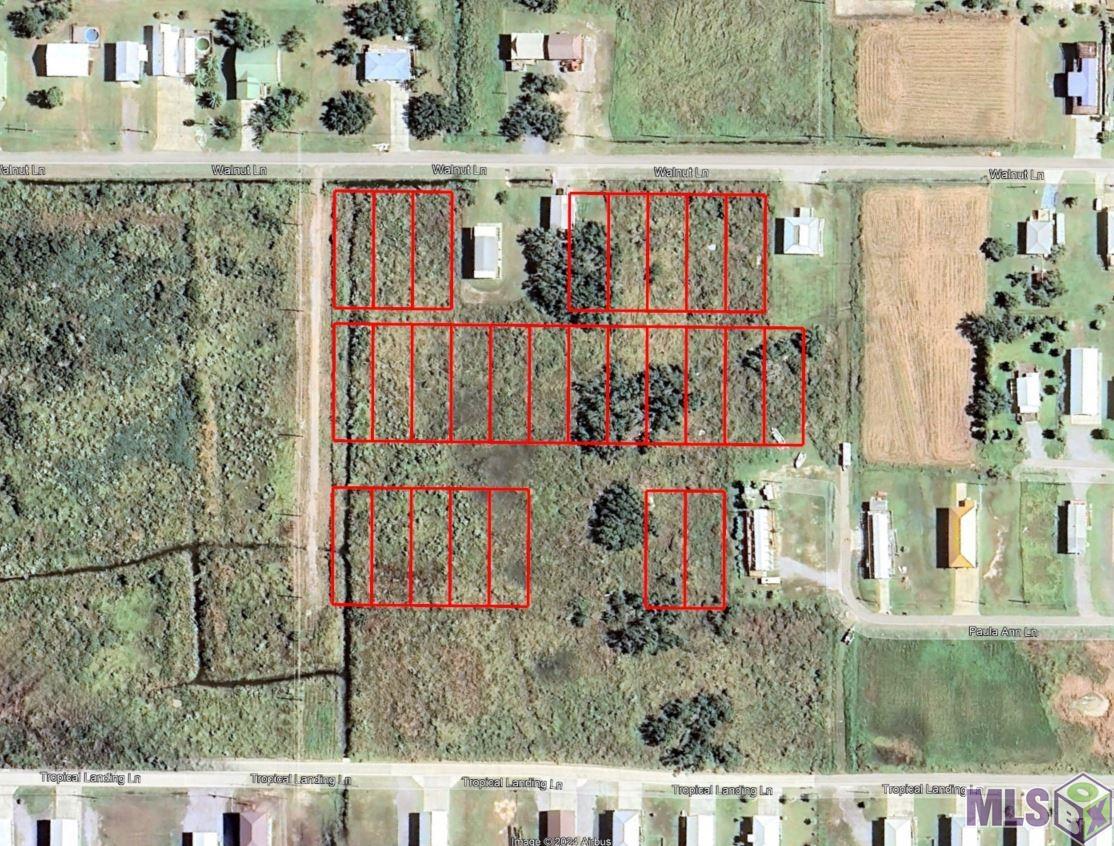 Tbd Walnut Lane Grand Isle, LA 70358 - Photo 1 of 4 Gallery Image 1