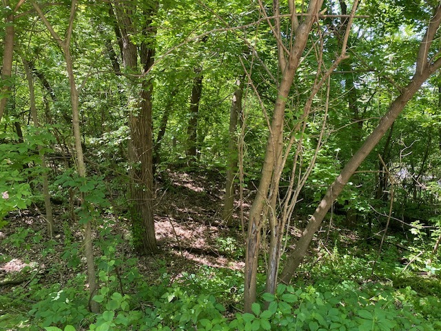 Lots 8-9 Ravine Drive Spring Grove, IL 60081 - Photo 3 of 3