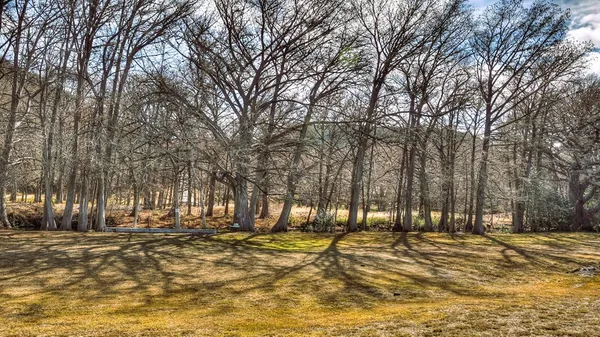 $849,000 | 6496 Hwy 83n Leakey Tx 78873, Leakey, TX 78873