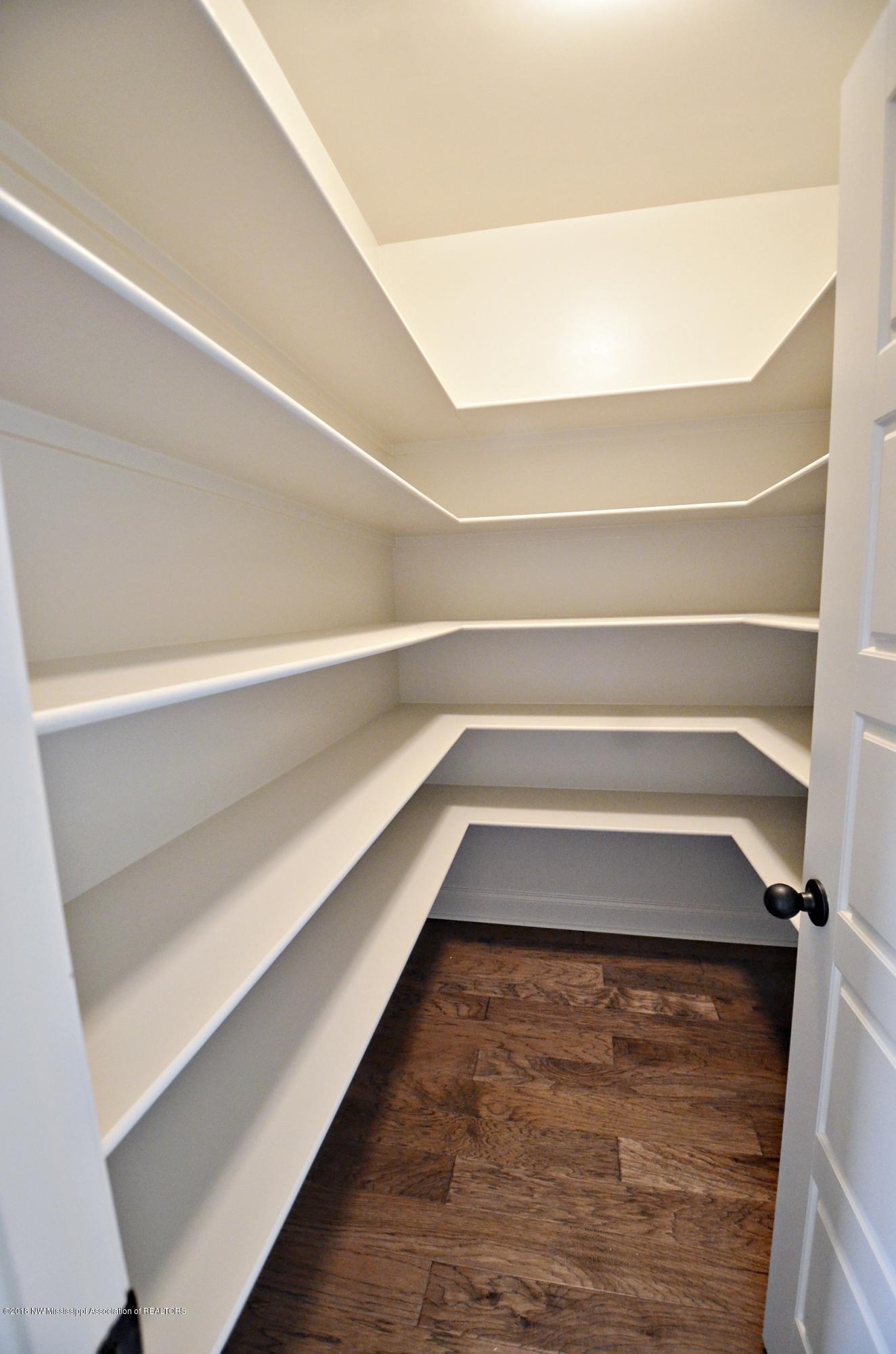 3685 Madison Ridge Hernando, MS 38632 - Photo 10 of 22 Pantry