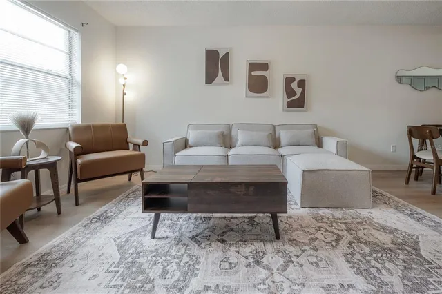 a living room with furniture and a rug