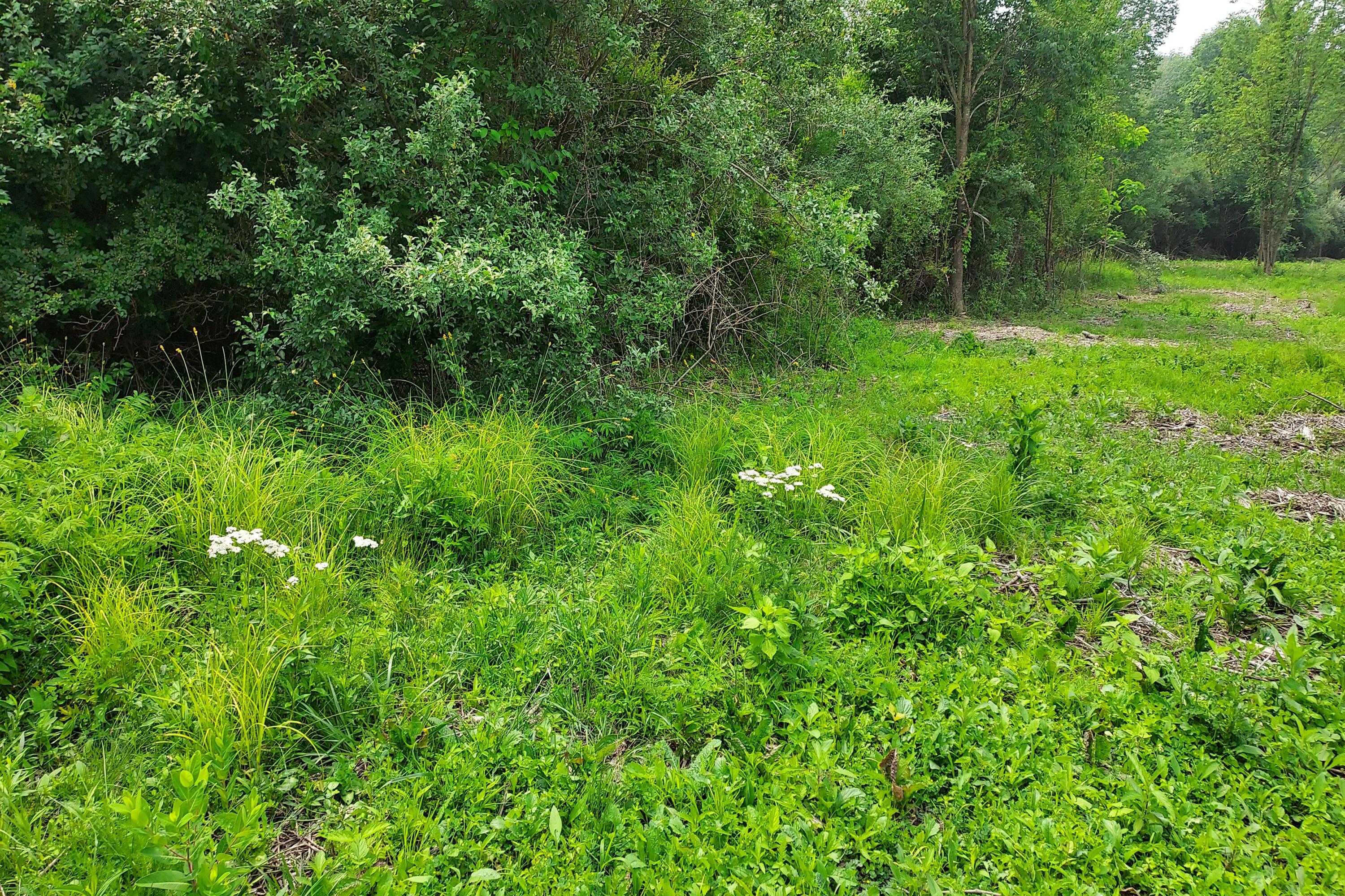 5547 Red Bank Road, Unit TRACT B Galena, OH 43021 - Photo 15 of 24 16. View of Lot