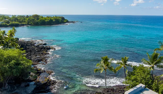 a vase of flowers sitting on a floor near a garden