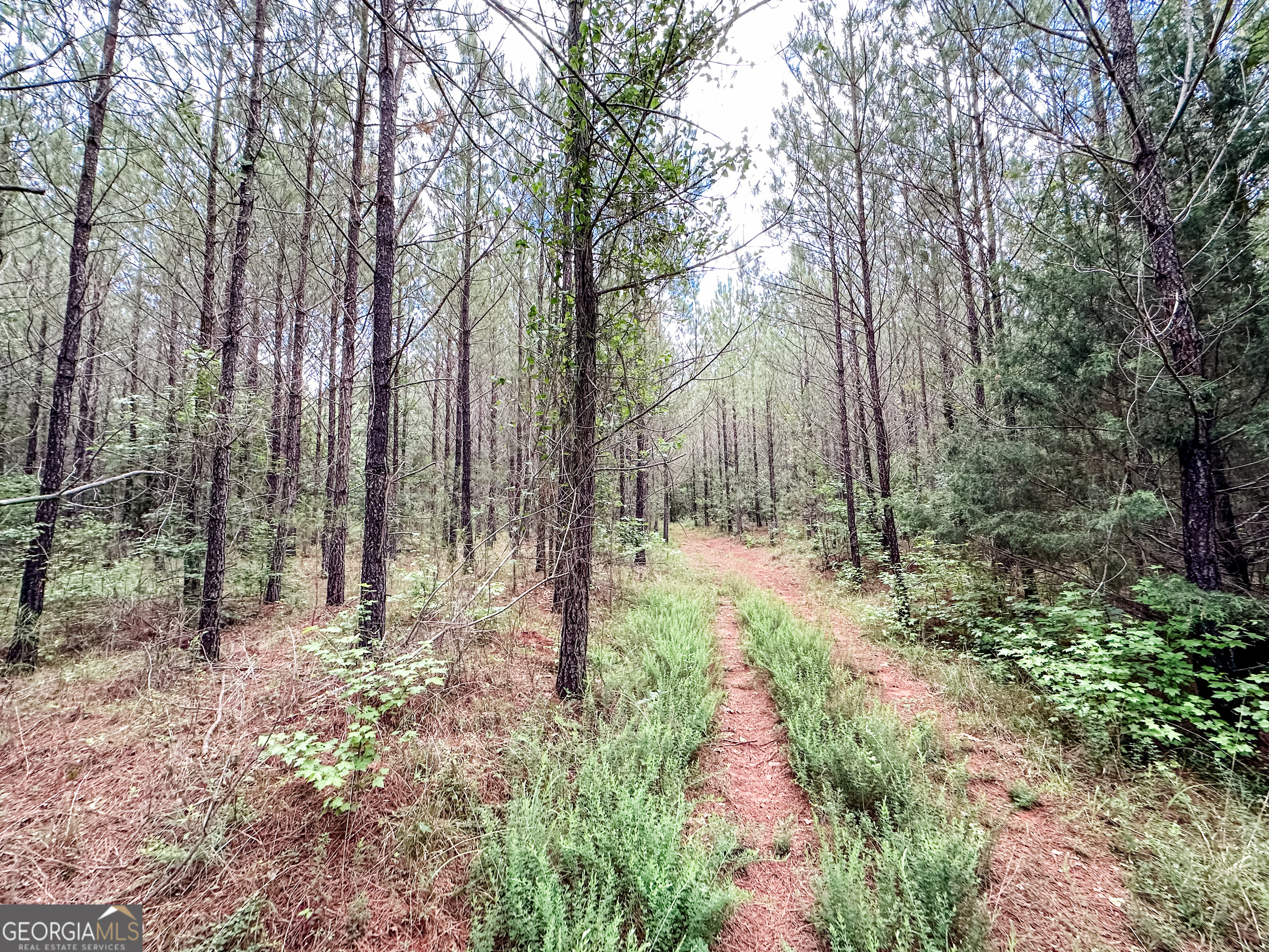 52.4-acres Goolsby Road, Unit 52 4 ACRES Monticello, GA 31064 - Photo 19 of 25