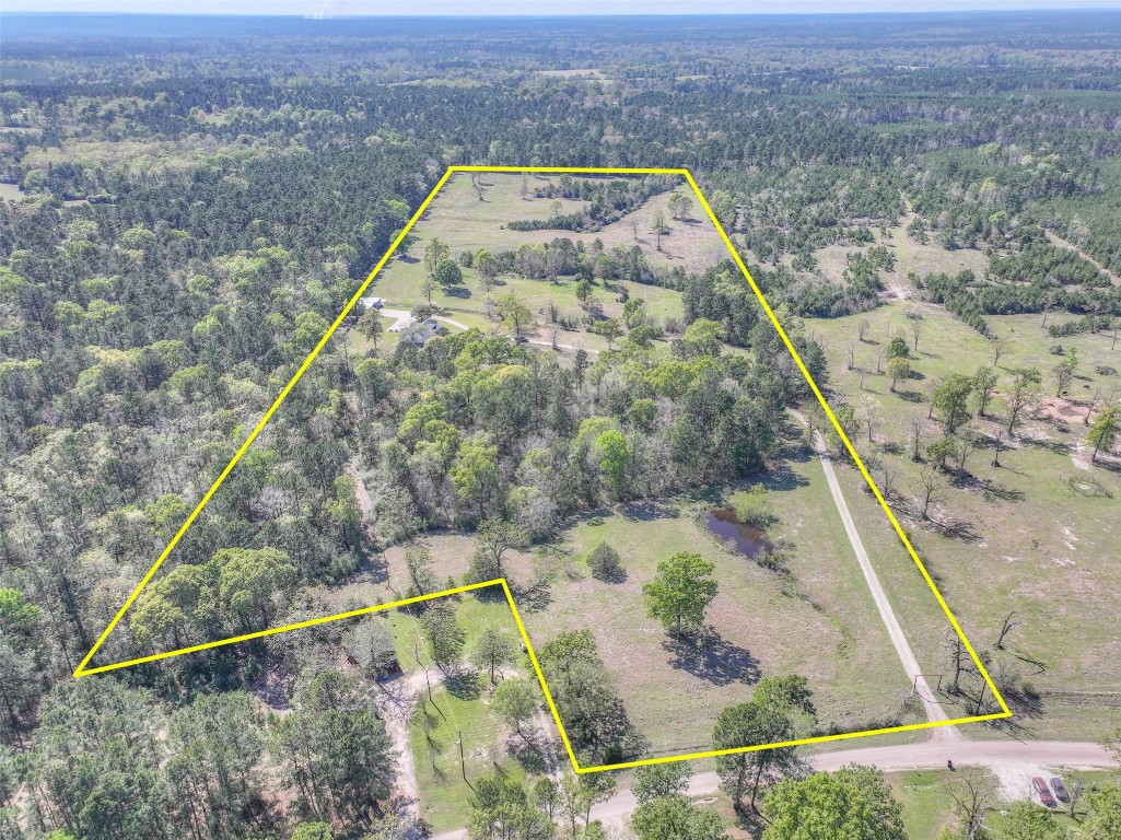 299 North Ghost Branch Road Trinity, TX 75862 - Photo 2 of 48 32 Unrestricted acres!