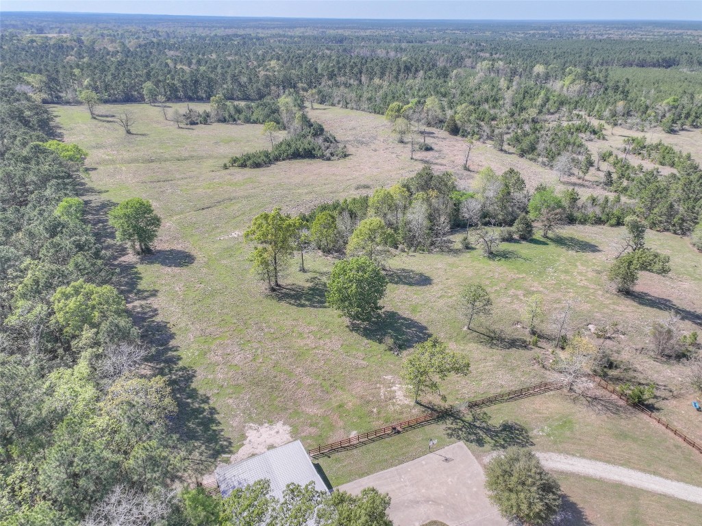 299 North Ghost Branch Road Trinity, TX 75862 - Photo 33 of 48