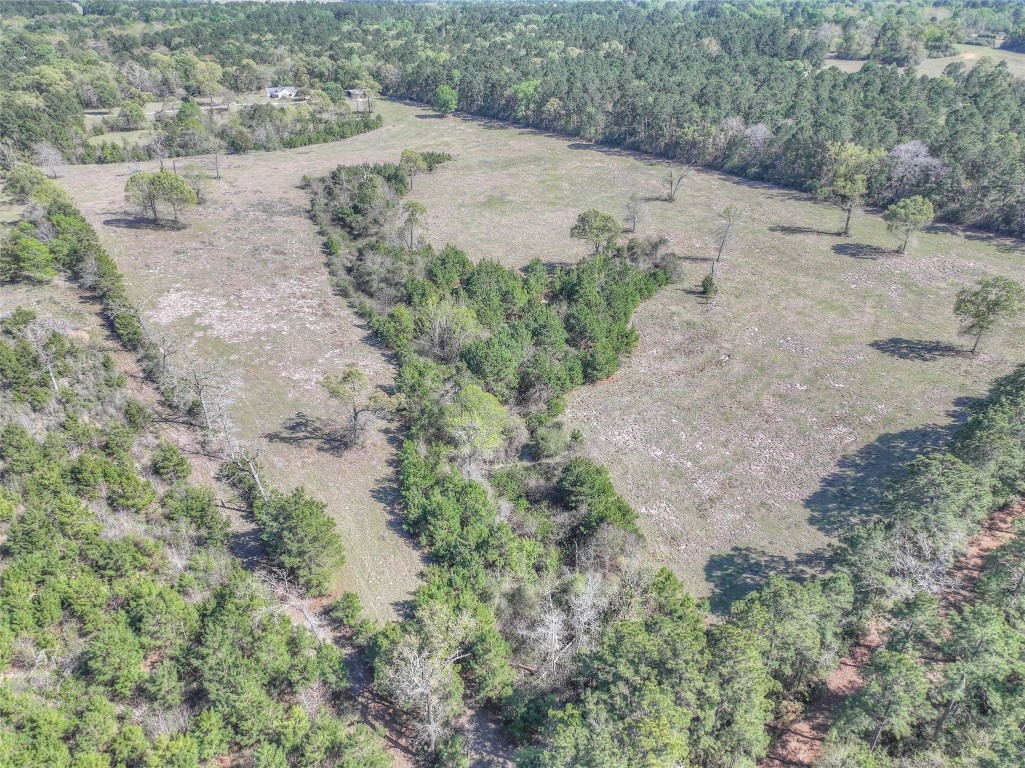299 North Ghost Branch Road Trinity, TX 75862 - Photo 36 of 48