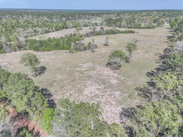 $785,000 | 299 North Ghost Branch Road, Trinity, TX 75862