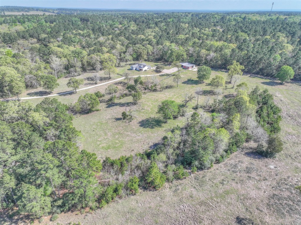 299 North Ghost Branch Road Trinity, TX 75862 - Photo 38 of 48